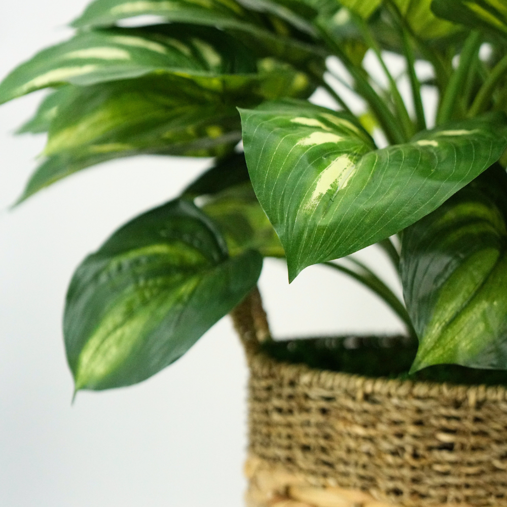 Large Faux Hosta in Natural Seagrass & Hyacinth Basket