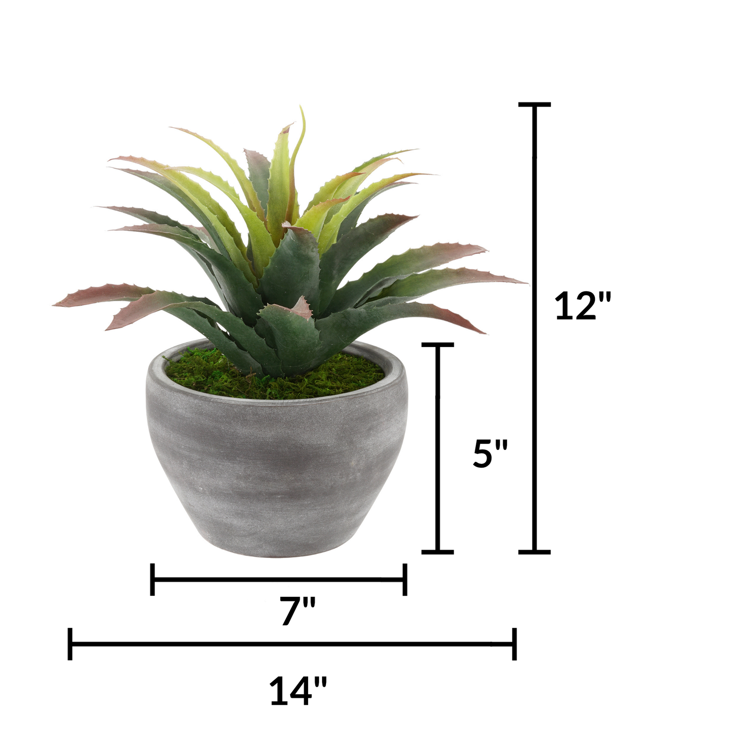 Faux Star Succulent in Grey-Washed Ceramic