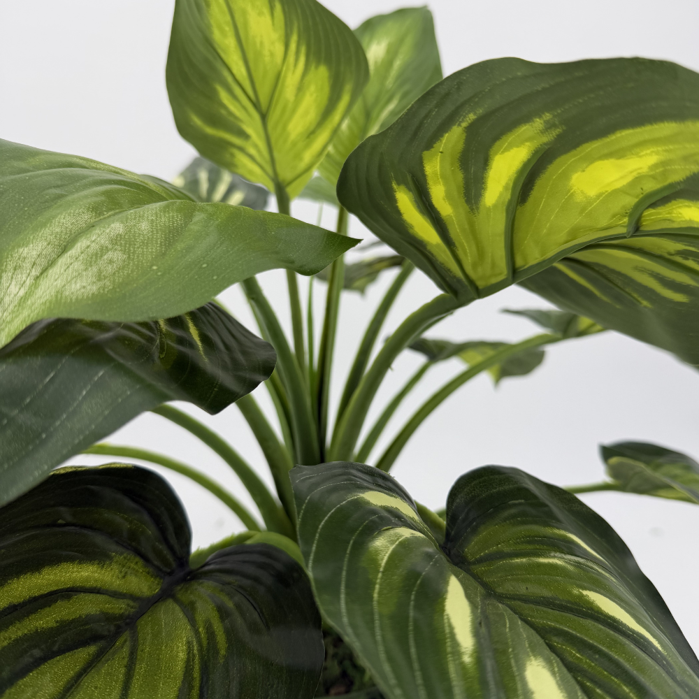 Faux Hosta in a Stone Wash White Tapered Ceramic