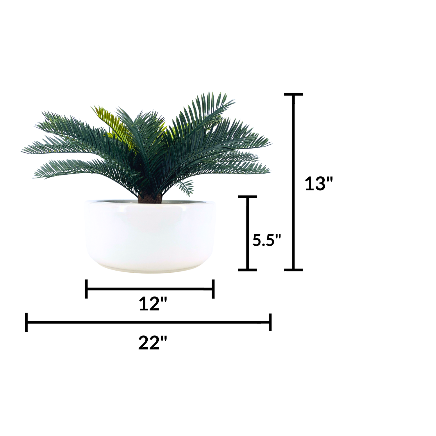 Faux Cycas Bush in Smooth Ceramic Bowl