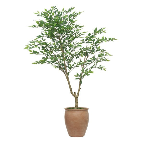 72" Ficus Tree in Matte Medium Terracotta Ceramic