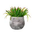 12" Succulent in Cement Gray Ceramic