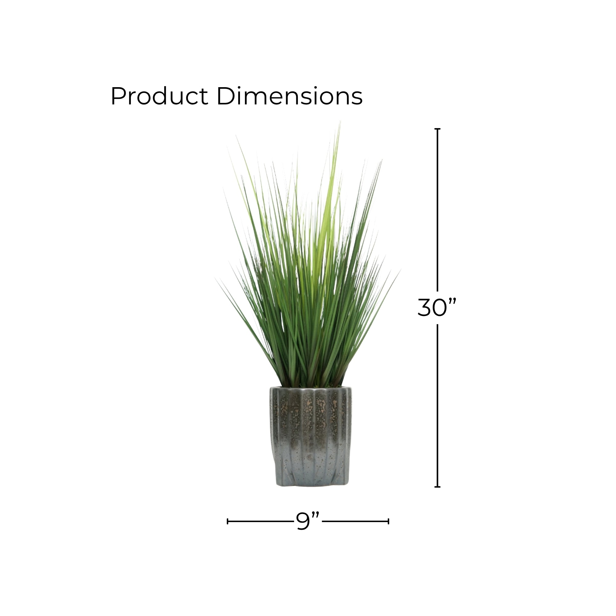 30" Onion Grass in Glazed Black Ribbed Tripod Ceramic