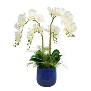 Faux White Orchid Flower Arrangement in a Glossy Blue Ceramic Pot against a white background, by House of Silk Flowers.
