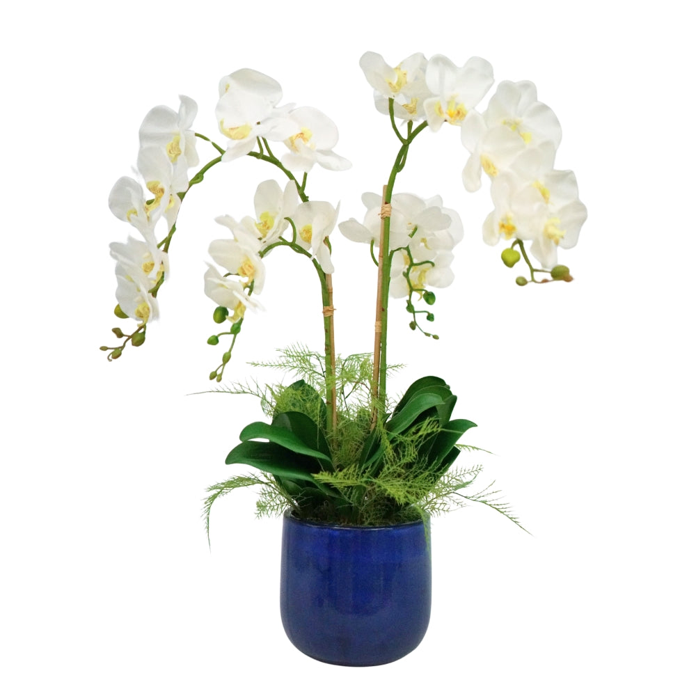 Faux White Orchid Flower Arrangement in a Glossy Blue Ceramic Pot against a white background, by House of Silk Flowers.