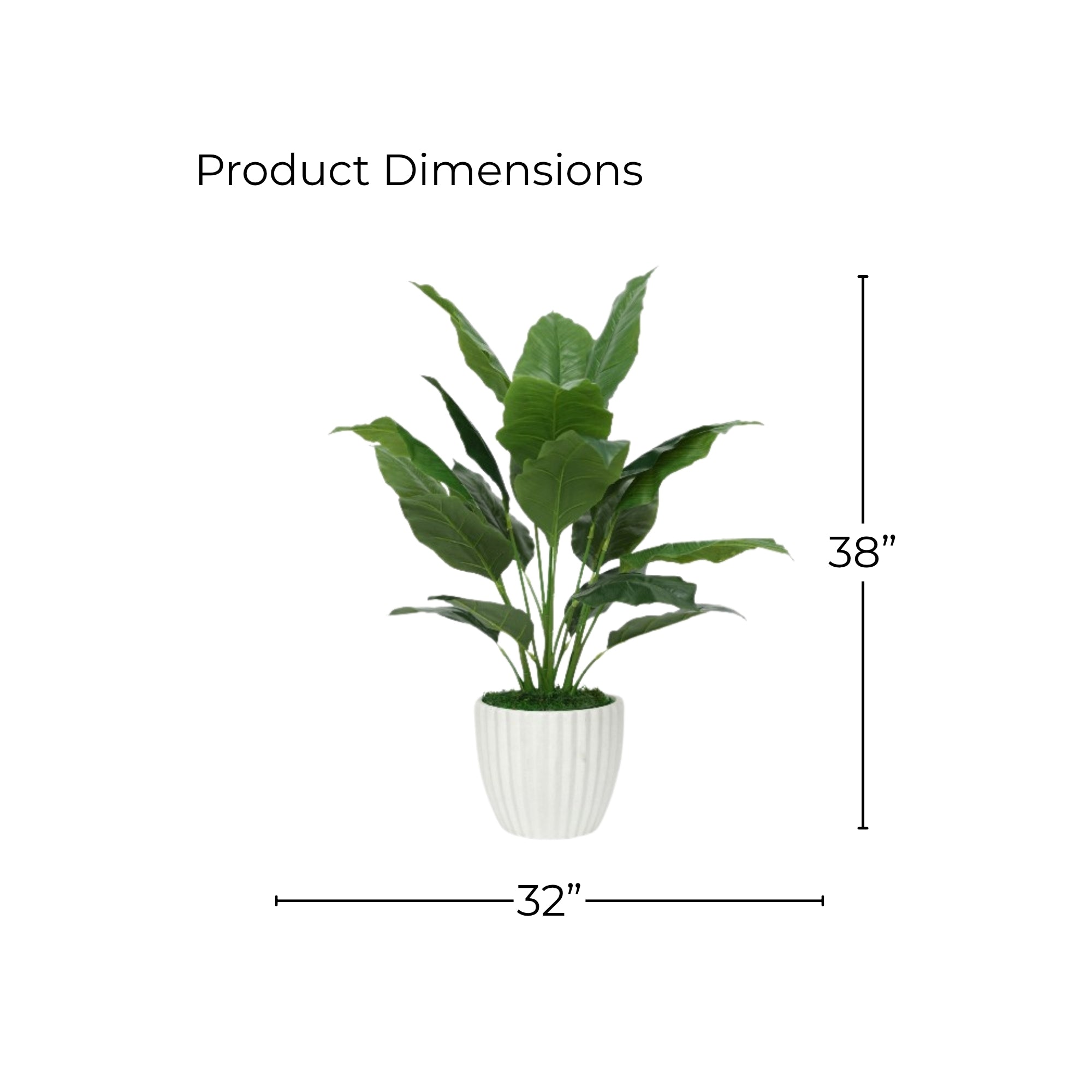 38" Spathphyllum in Stone Wash White Ceramic