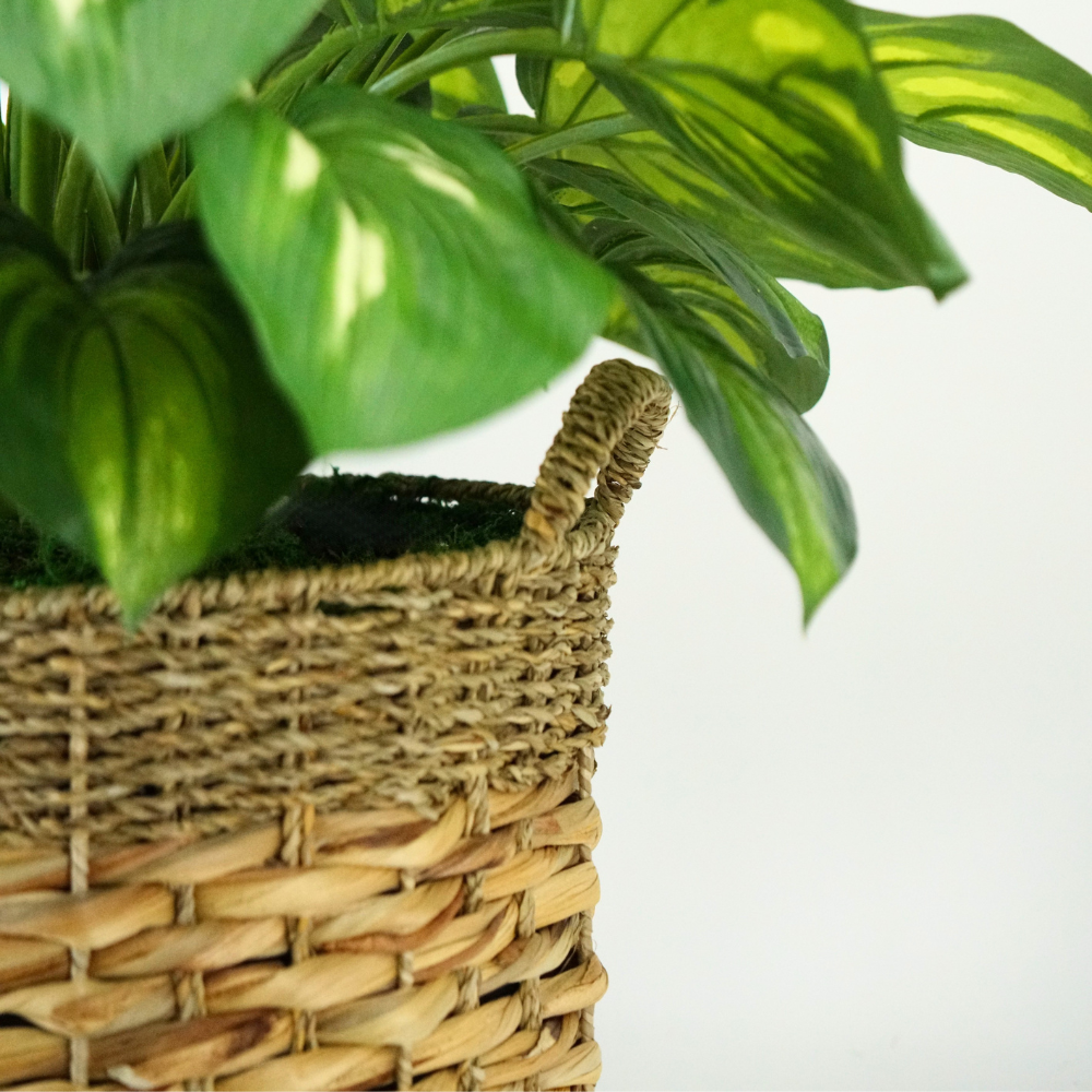 Large Faux Hosta in Natural Seagrass & Hyacinth Basket