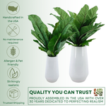 A pair of bird nest ferns of two different sizes in glossy white ceramic vase against a green/white gradient background, featuring quality assurances, by House of Silk Flowers.