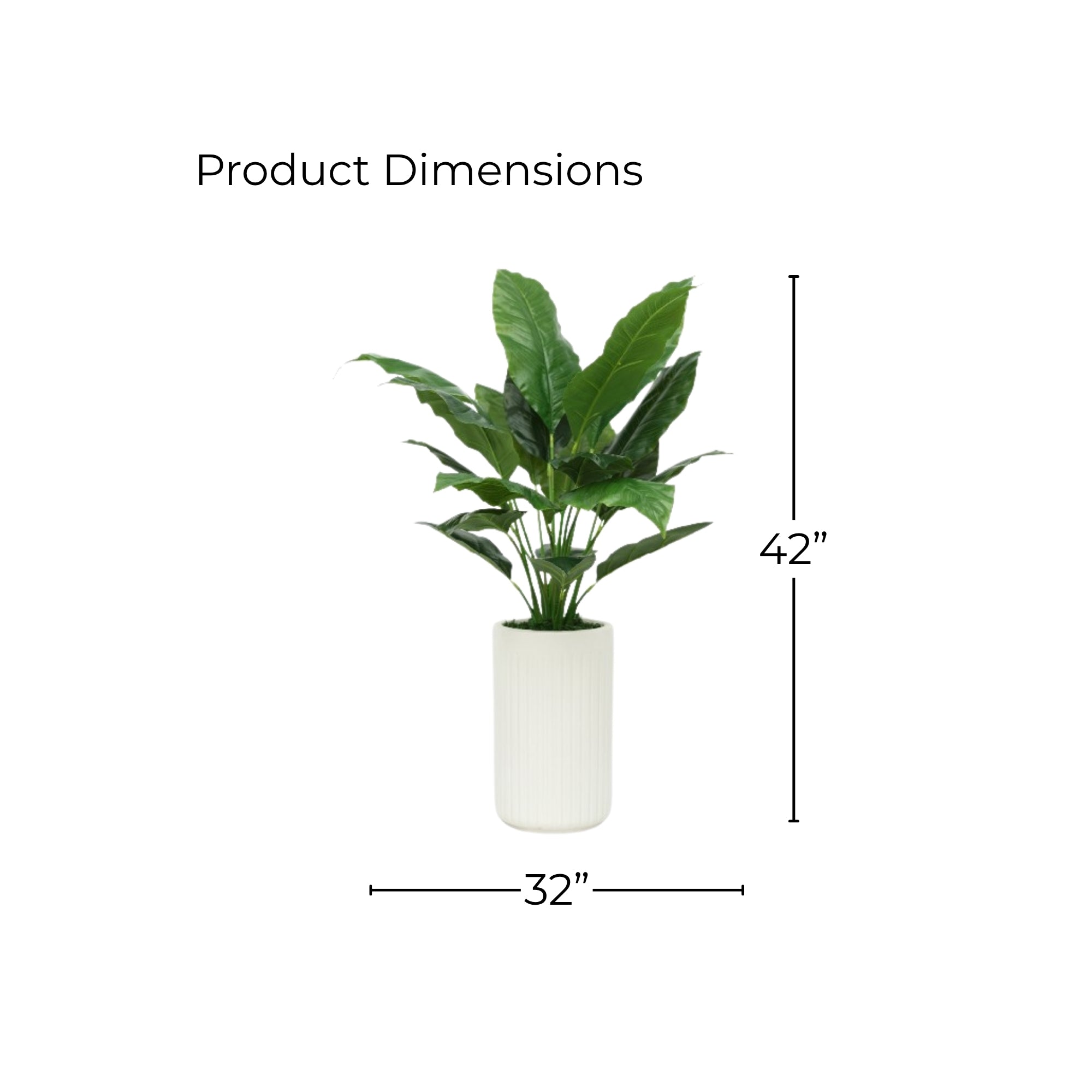 42" Spathphyllum in Matte White Ceramic