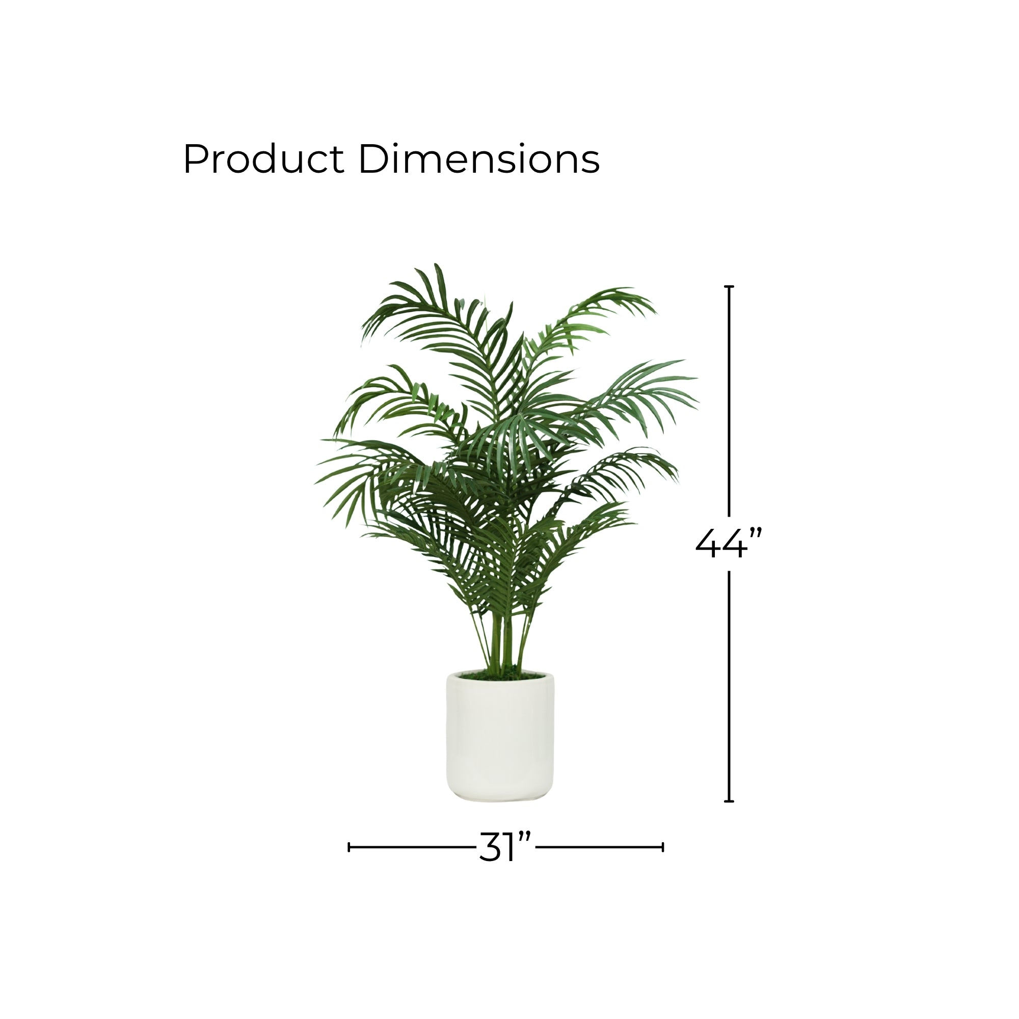 44" Areca Palm in Glossy White Ceramic