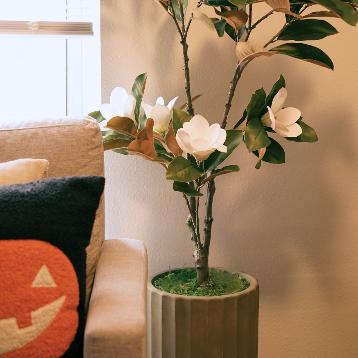 61" Magnolia Tree in Cement Gray Ceramic