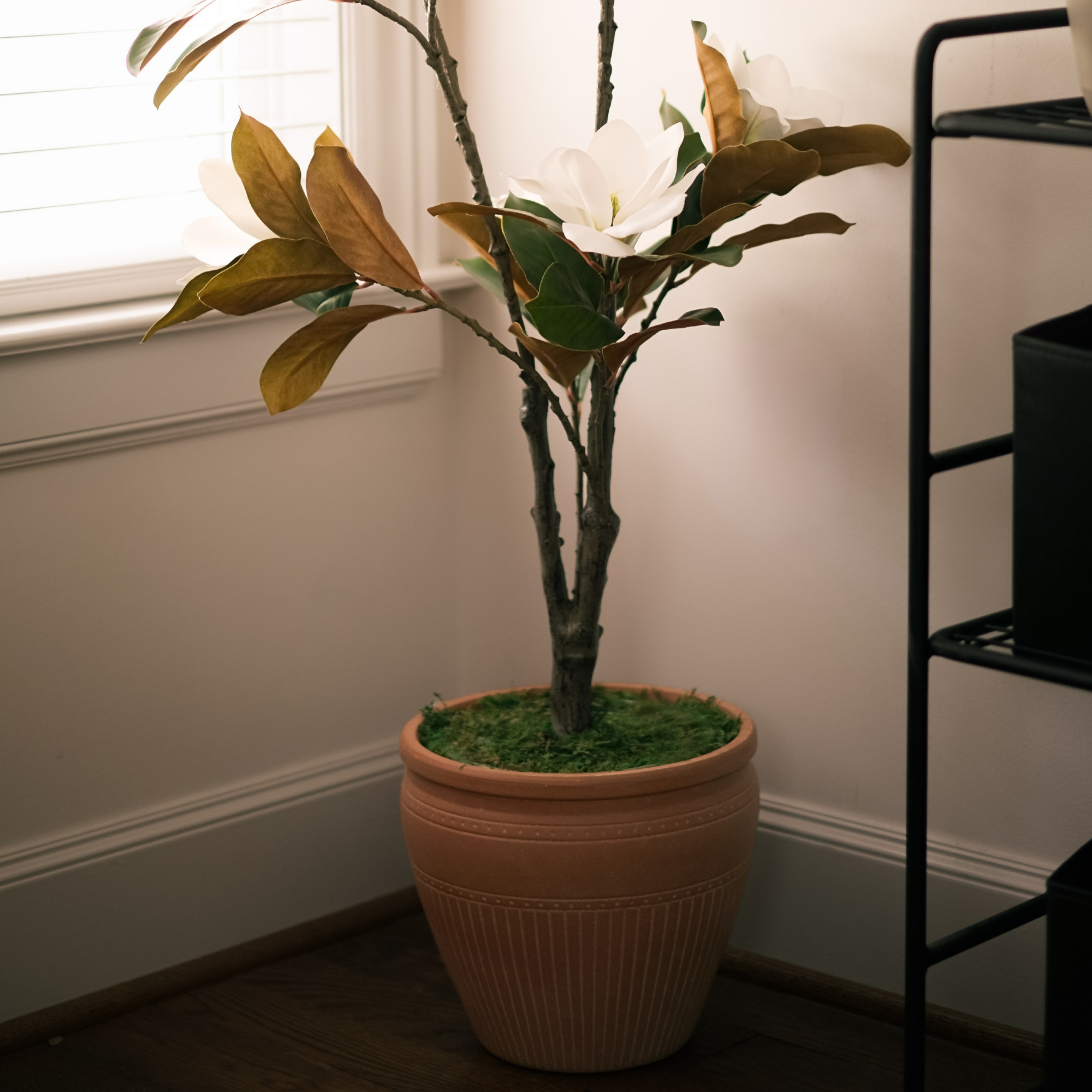 58" Magnolia Tree in Matte Medium Terracotta Ceramic