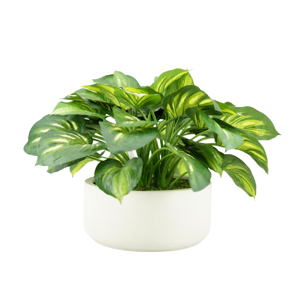 21" Faux Hosta Bush in a Large White Stonewash Ceramic Bowl