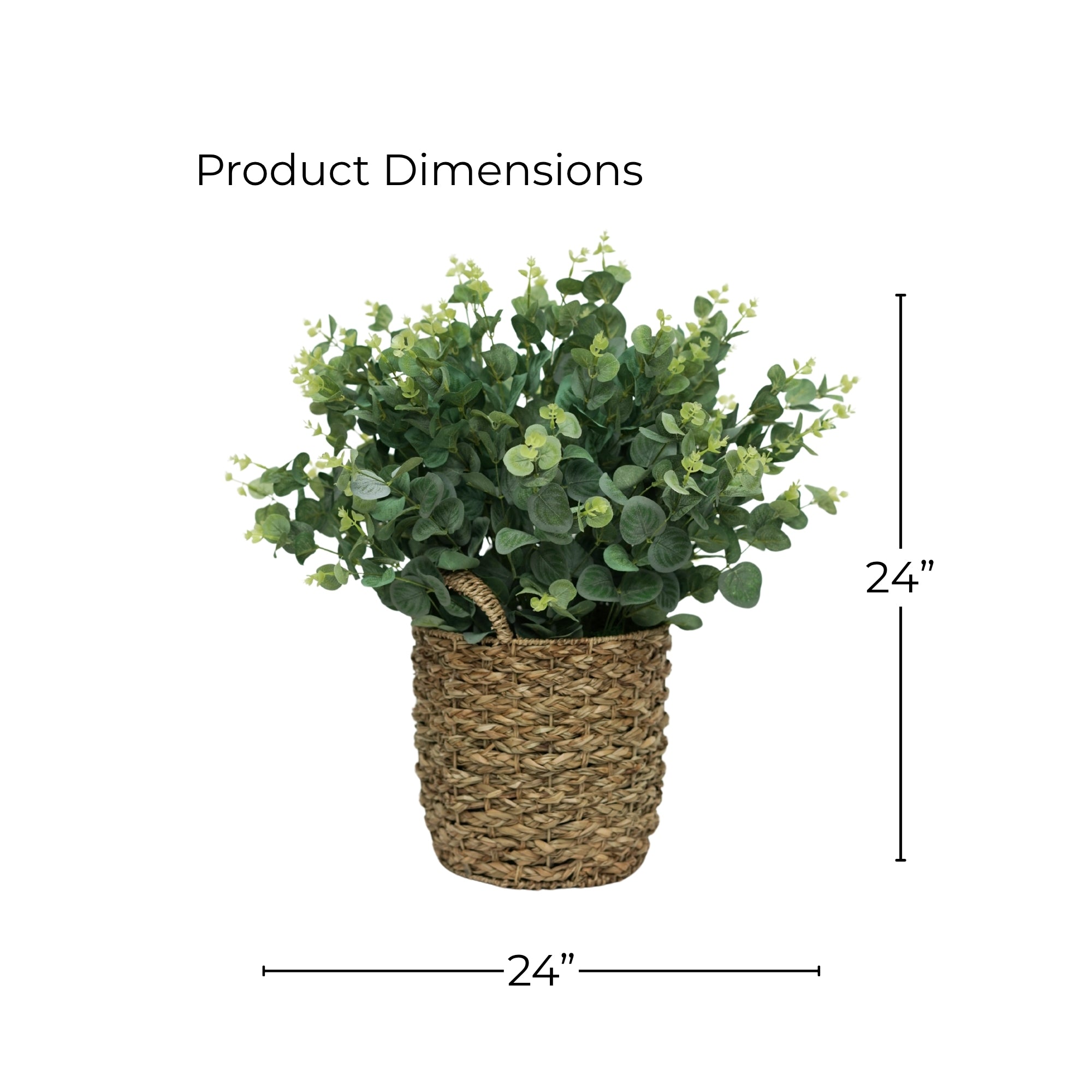 24" Eucalyptus Bush in Natural Seagrass Basket