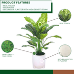 Spathphyllum in white tripod ceramic by House of Silk Flowers Product Features