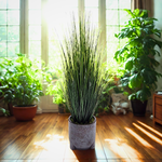 Artificial 48" Grass in Medium Black Tripod Ceramic in Home Environment