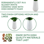 Birds nest fern in glossy white ceramic vase against a white background, featuring product options, by House of Silk Flowers.