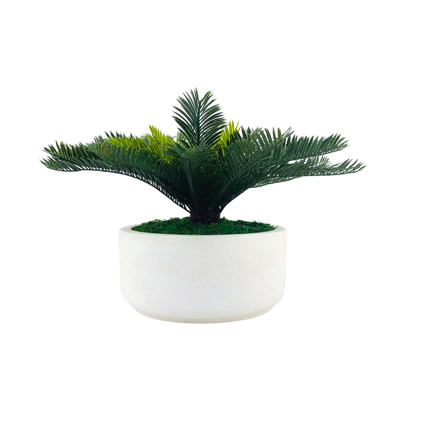 Faux Cycas Bush in Smooth Ceramic Bowl