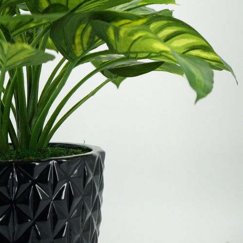 Faux Hosta In Glossy Black Tapered Ceramic
