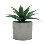 23" Agave in Cement Gray Ceramic