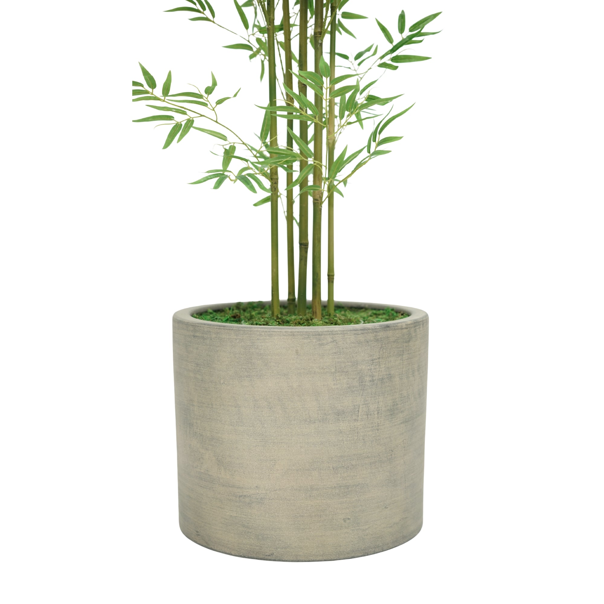 72" Bamboo Tree in Cement Gray Ceramic