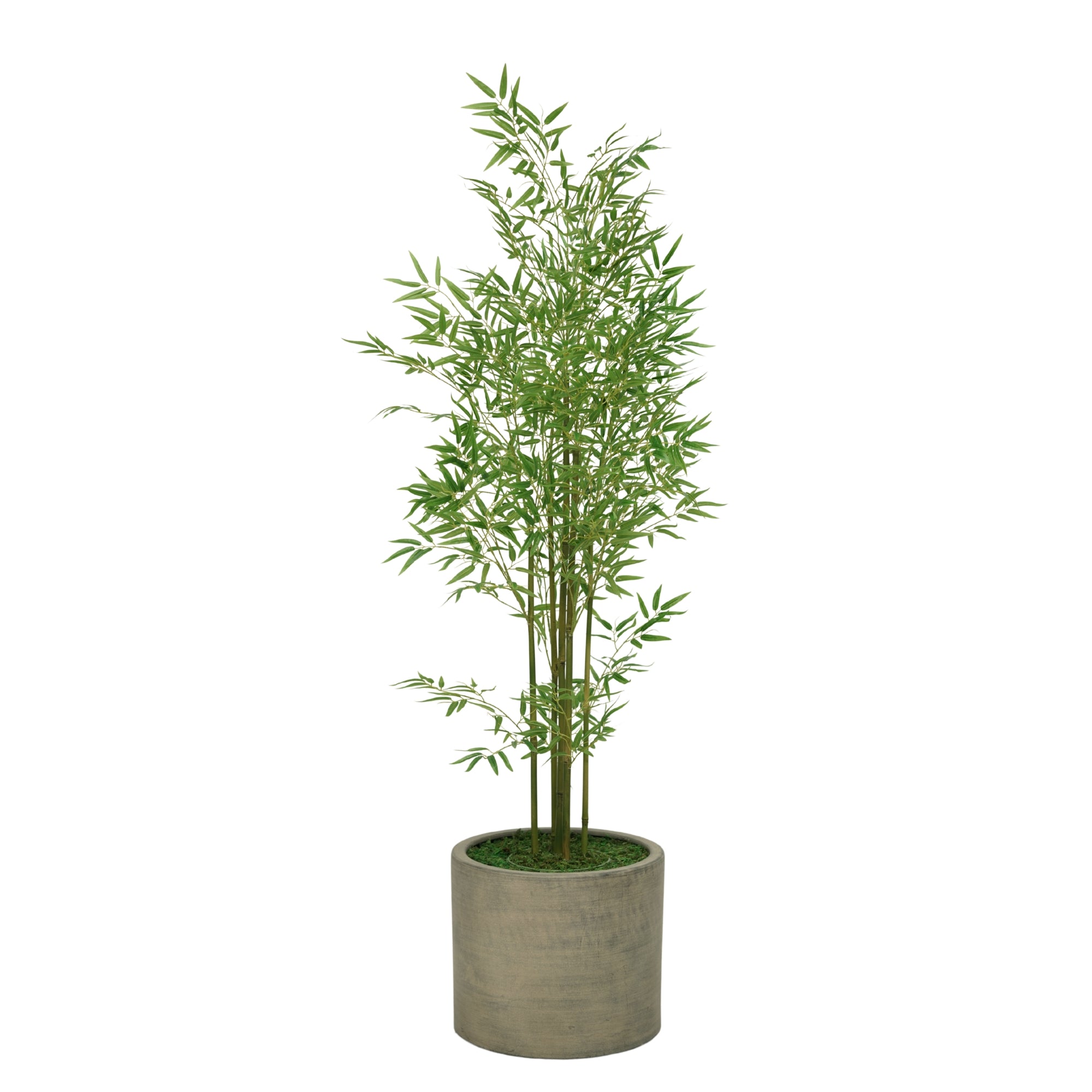 72" Bamboo Tree in Cement Gray Ceramic