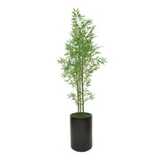 80" Bamboo Tree in Matte Black Ceramic Cylinder