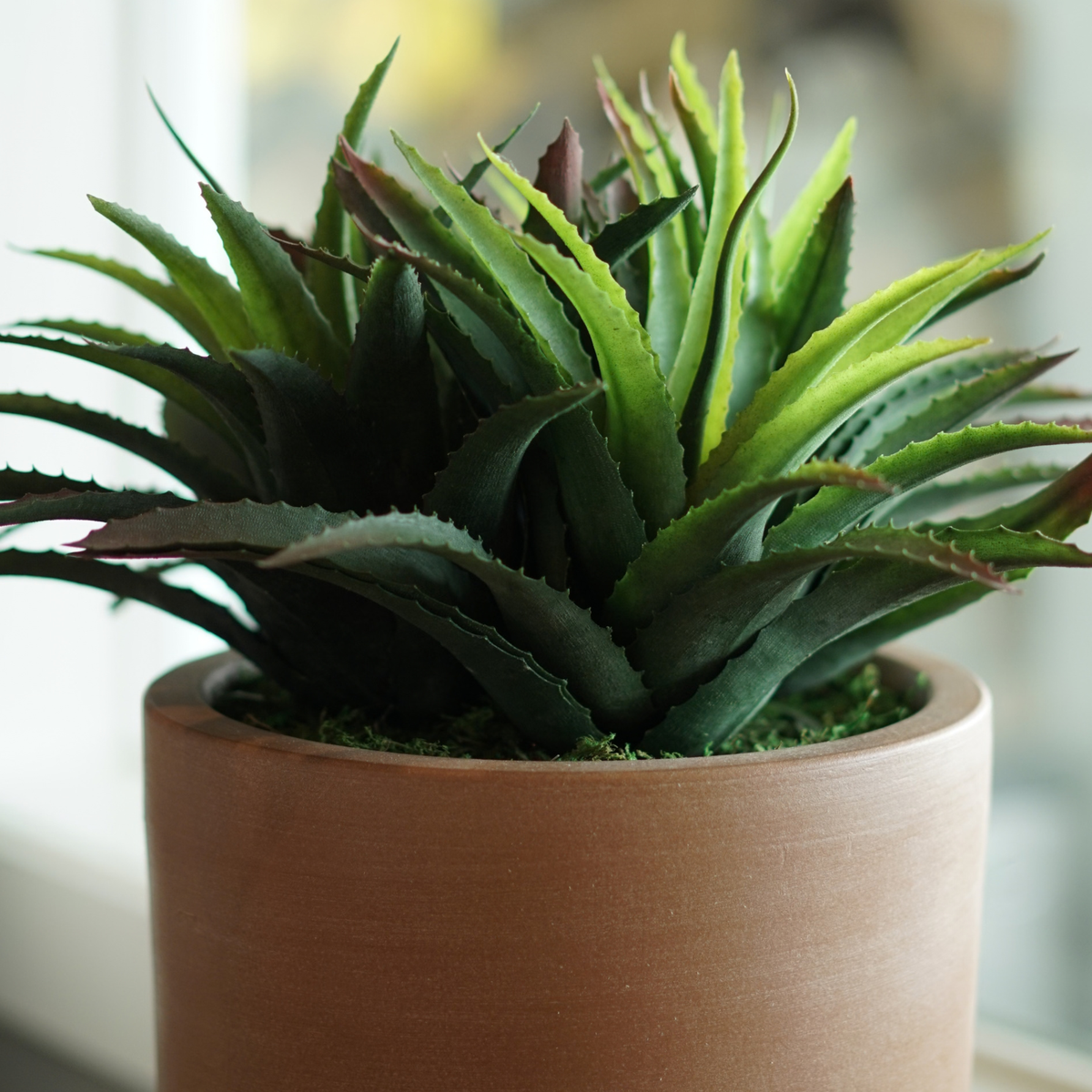 16" Agave Red Tipped Leaf in Matte Terracotta Ceramic