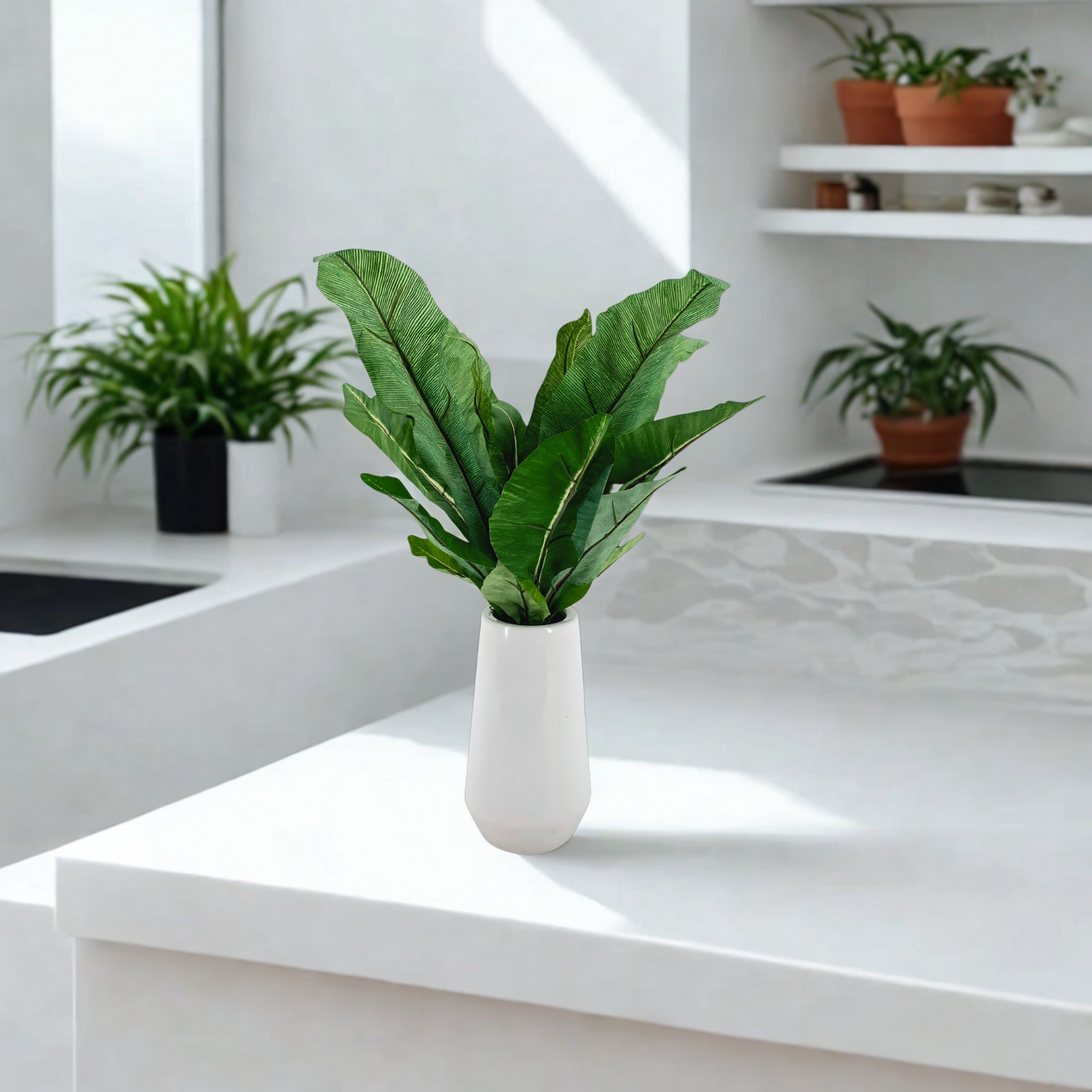 Birds nest fern in glossy white ceramic vase on a white kitchen countertop, by House of Silk Flowers.