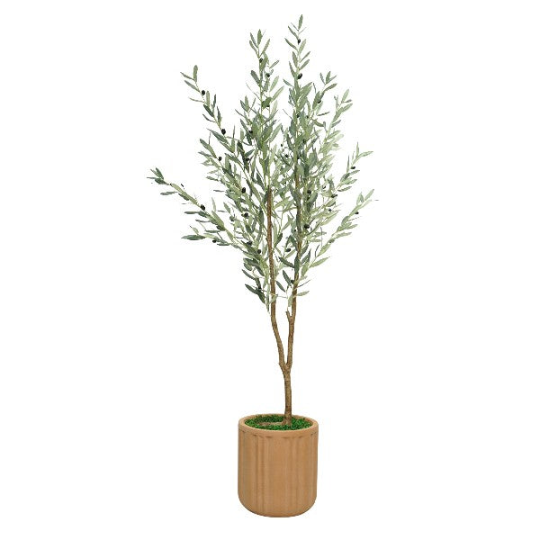 74" Olive Tree in Matte Medium Terracotta Ceramic