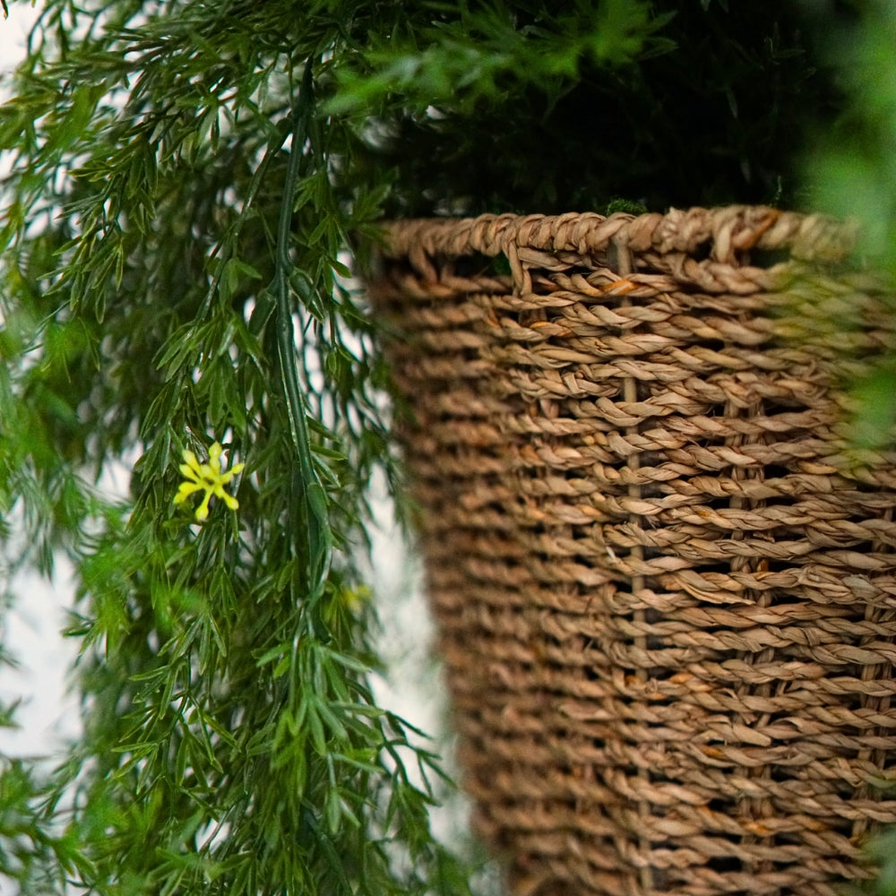Faux Sprengeri Grass in Seagrass Hanging Basket