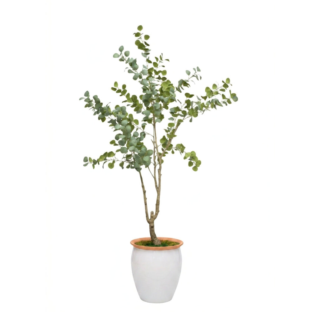 86" Faux Eucalyptus Tree in Glossy White and Terracotta Ceramic