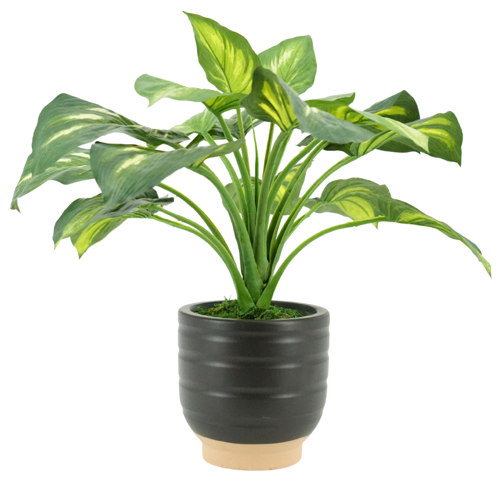 23" Faux Small Hosta in Matte Black and Terracota Ceramic