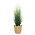 64" Grass in Natural Hyacinth Basket