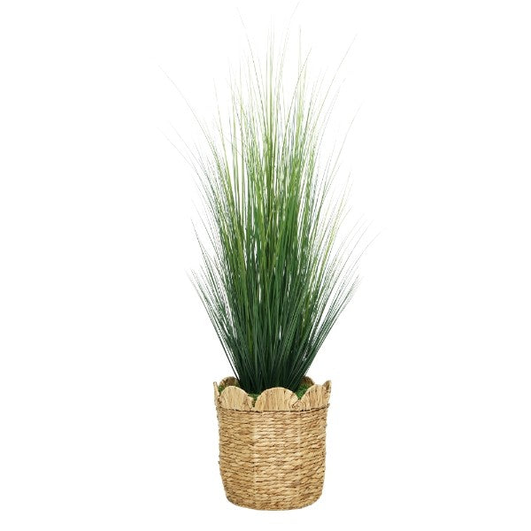 64" Grass in Natural Hyacinth Basket