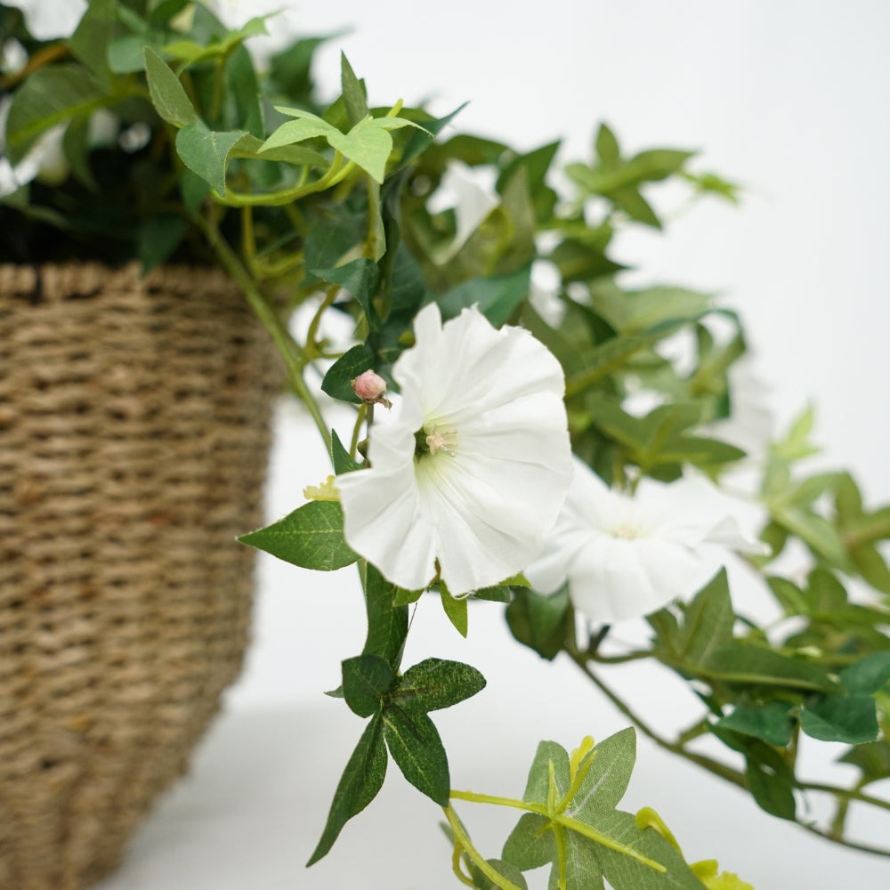Faux Morning Glory White in Seagrass Hanging Basket