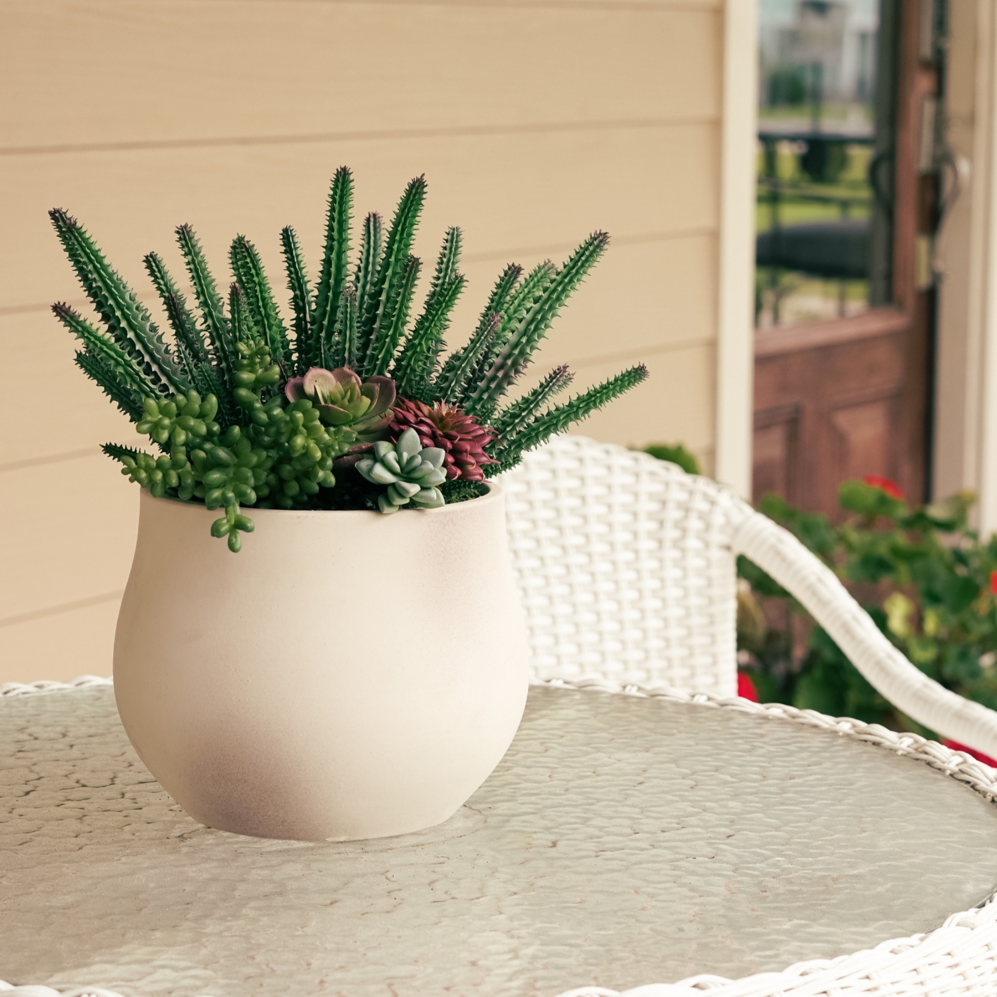 13" Green Cactus in Stone Wash White Ceramic