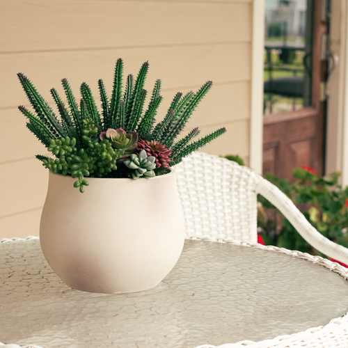 13" Green Cactus in Stone Wash White Ceramic