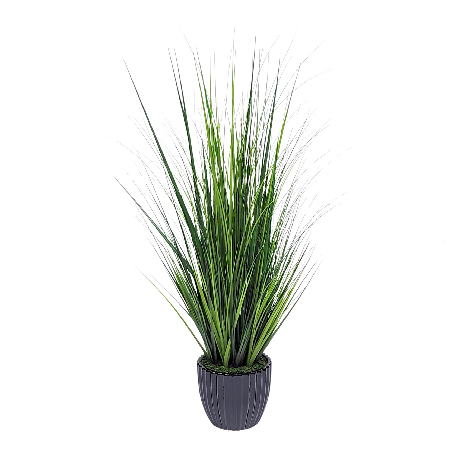 Faux grass in black glossy tapered ceramic by house of silk flowers  