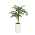 58" Golden Cane Palm in Glossy White Ceramic