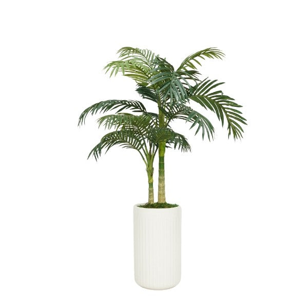 58" Golden Cane Palm in Glossy White Ceramic