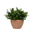12" Eucalyptus in Matte Medium Terracotta Ceramic