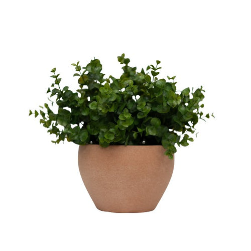 12" Eucalyptus in Matte Medium Terracotta Ceramic