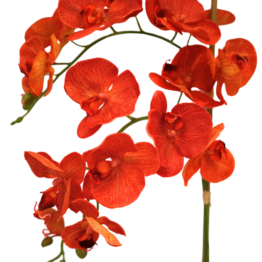 Orange Orchid in Cement Gray Intricate Ceramic