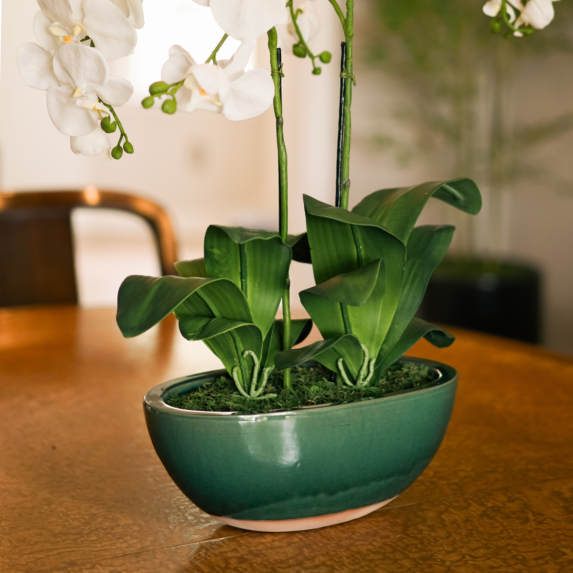 22" Faux White Orchid in Glossy Green Ceramic With Terracotta Base