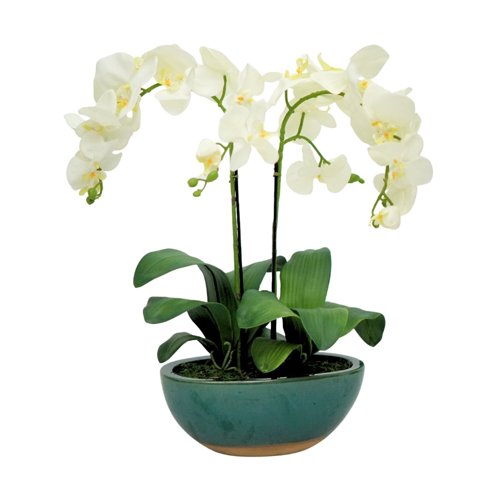 Faux White Orchid Flower Arrangement in a Glossy Teal Ceramic Boat, against a white background, by House of Silk Flowers.