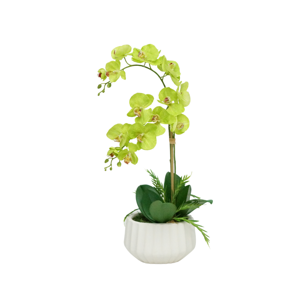 A Faux Green Orchid Flower in a Glossy White Ribbed Ceramic Pot against a white background, by House of Silk Flowers.