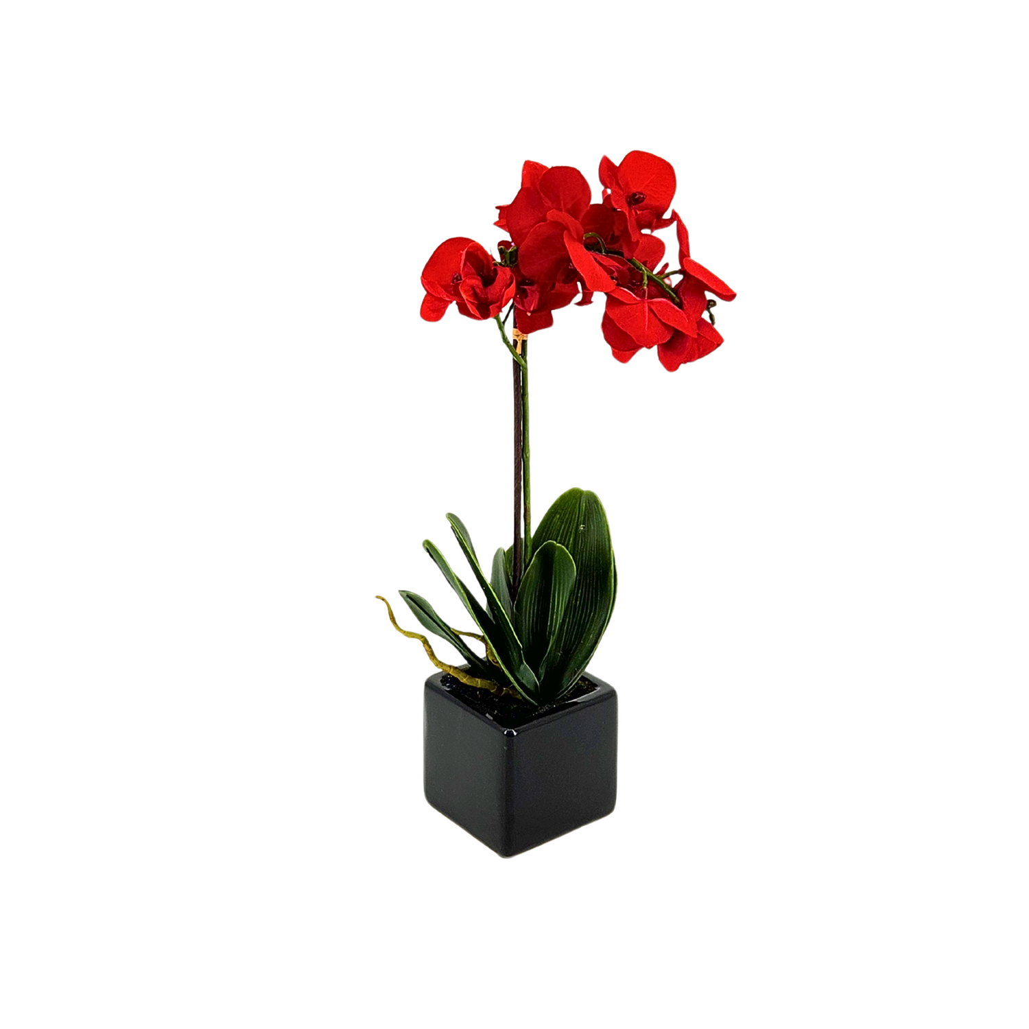 Artificial 18" Baby Orchid in Black Cube