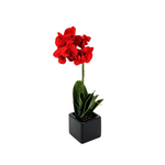 Artificial 18" Baby Orchid in Black Cube