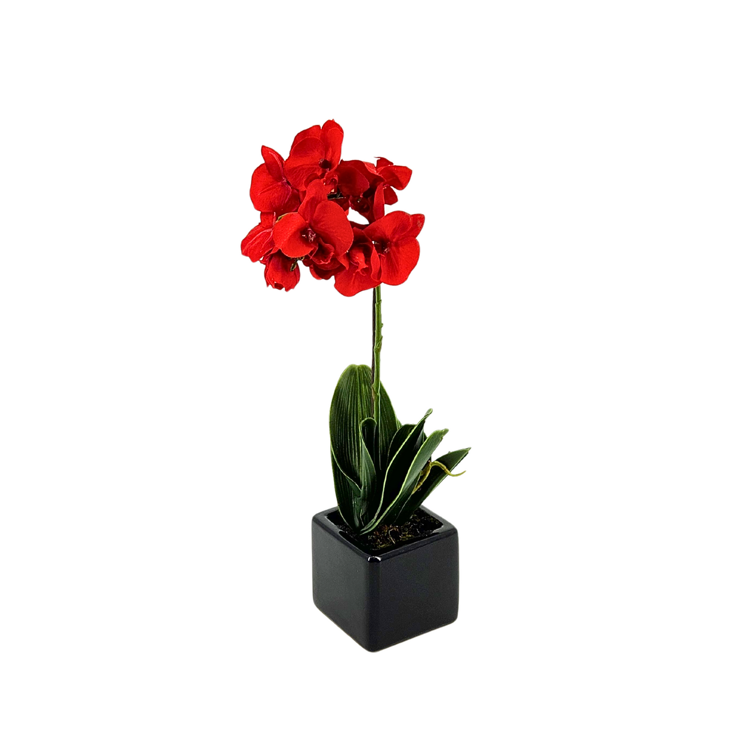 Artificial 18" Baby Orchid in Black Cube